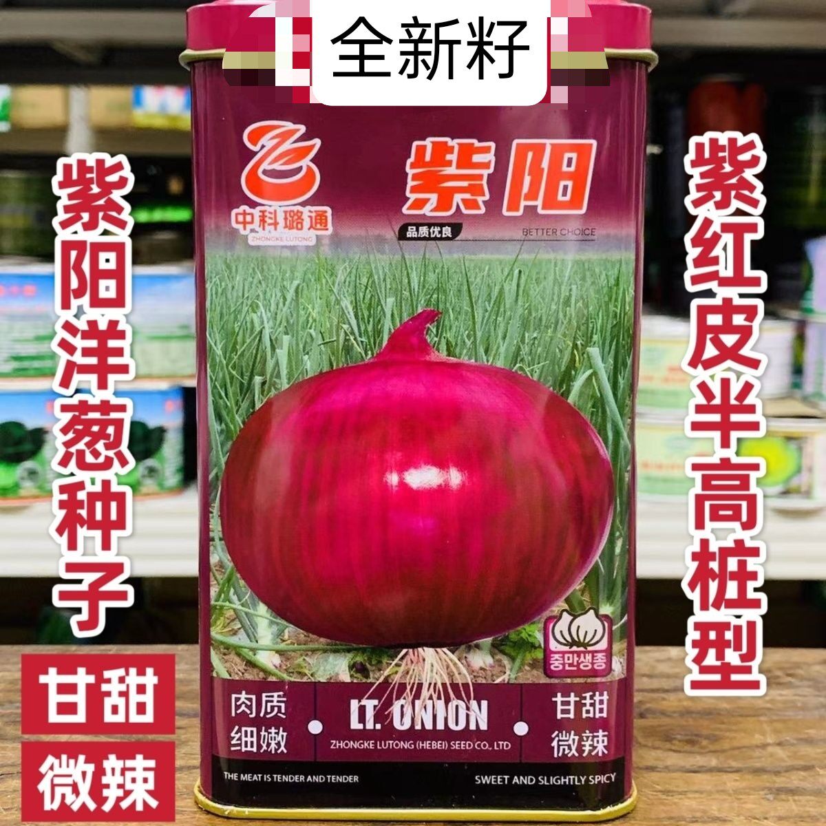 璐通紫阳紫红皮洋葱种子半高桩型圆葱种子口感甜脆微辣肉质细嫩