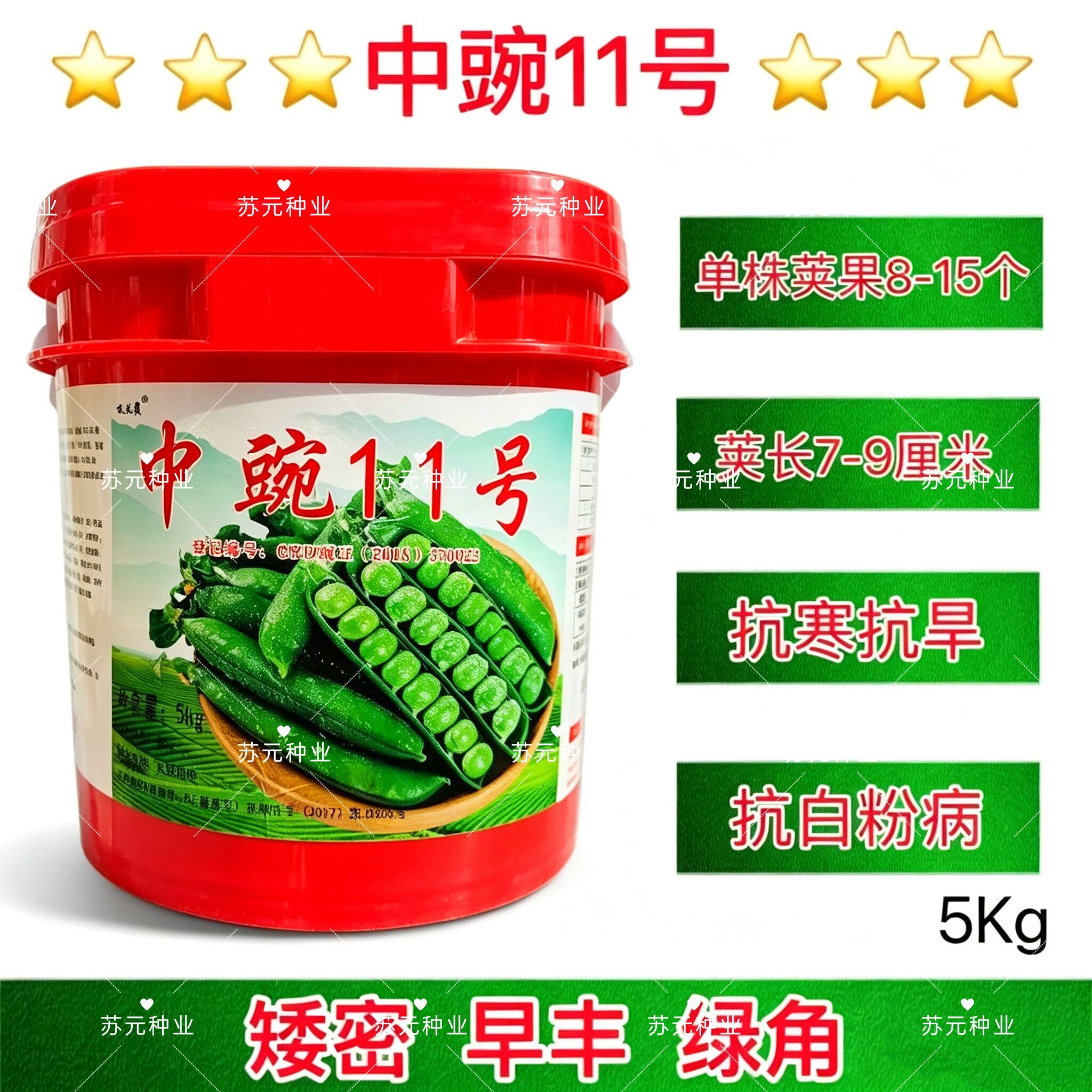 中豌11号矮密早丰绿角抗寒抗旱抗白粉病耐寒抗旱大青豆水果豆10斤