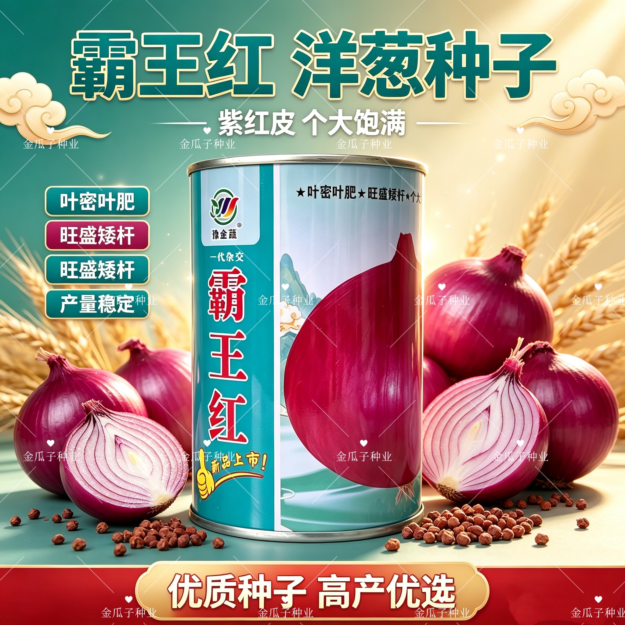 霸王红大果洋葱种子矮杆膨球快耐储运耐抽苔抗病高产大果洋葱种籽