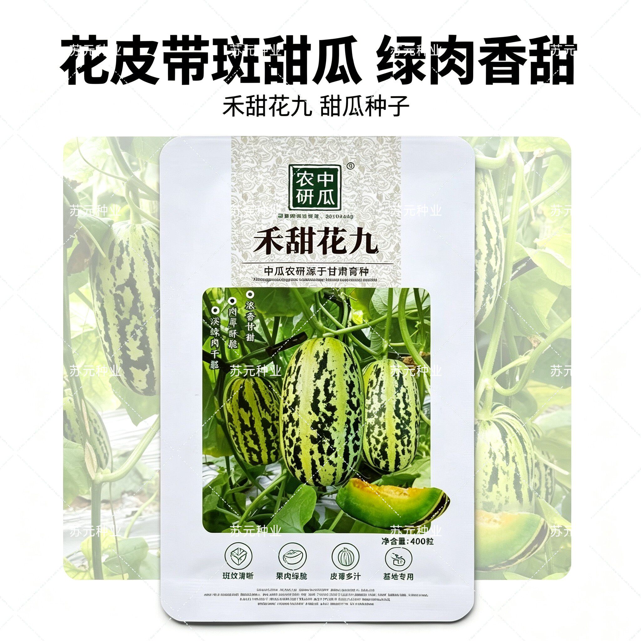 禾甜花九薄皮甜瓜种子正宗早熟甜瓜清香脆甜甘甜抗病高产深绿红瓤