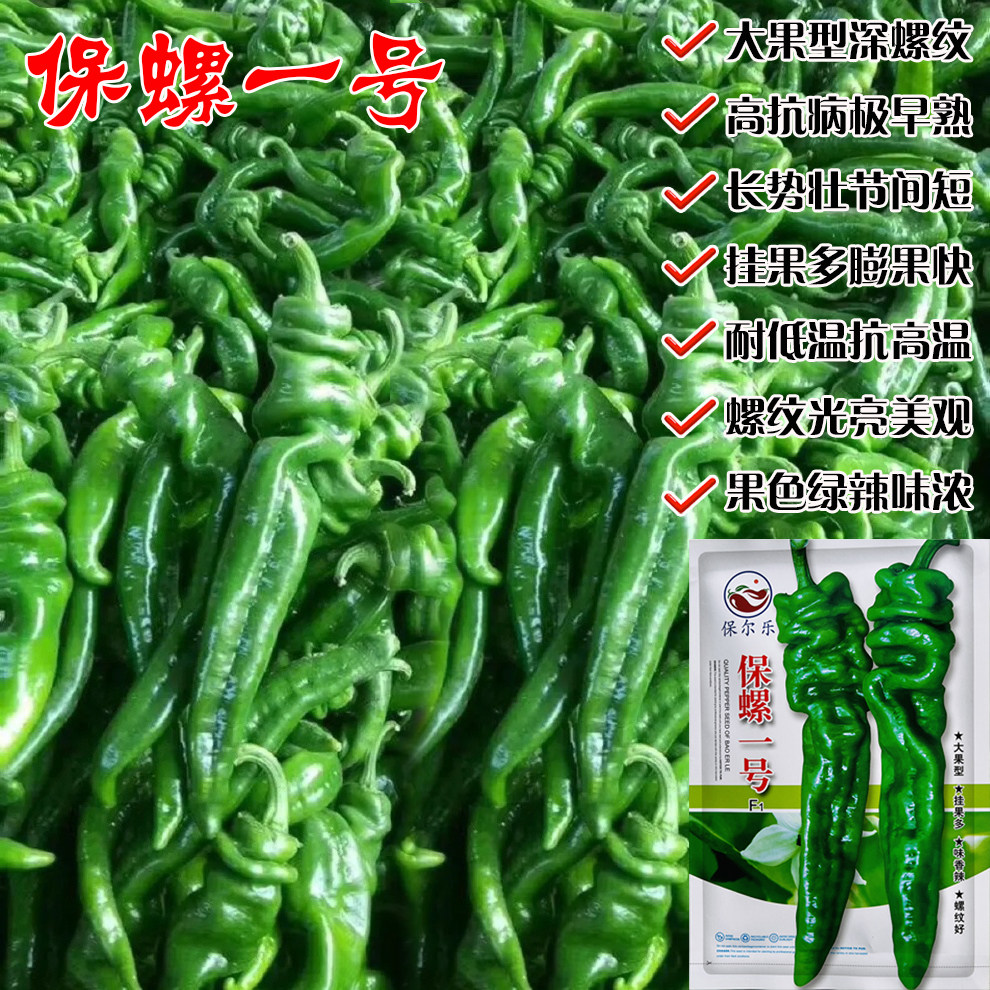 保螺一号辣椒种子早熟大果型螺丝椒种籽高产抗病春秋播青椒蔬菜孑