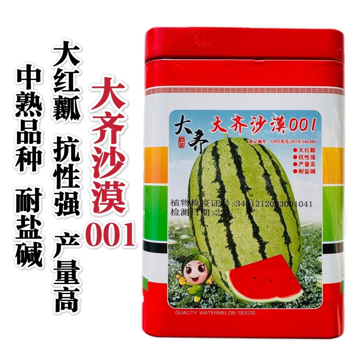 大齐沙漠001西瓜种子耐热大红瓤西瓜种籽花皮椭圆耐盐碱水果种子