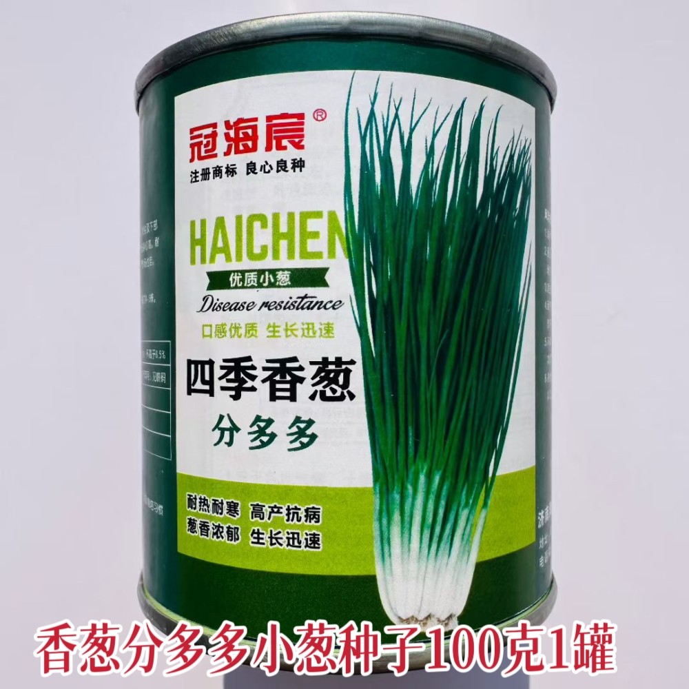四季香葱分多多小葱种子叶色浓丰产耐储运农家菜园阳台盆栽葱种籽