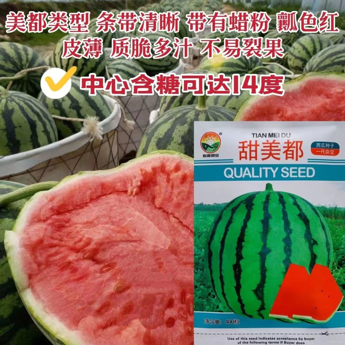 甜美都西瓜种子花皮圆形大果红瓤多汁皮硬耐储运西瓜大田专用种孑