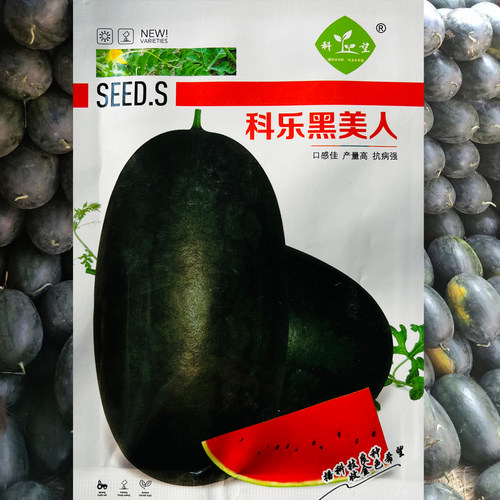 科乐黑美人种子早熟瓤质脆嫩不空心不倒瓤汁多味甜皮薄且韧西瓜籽