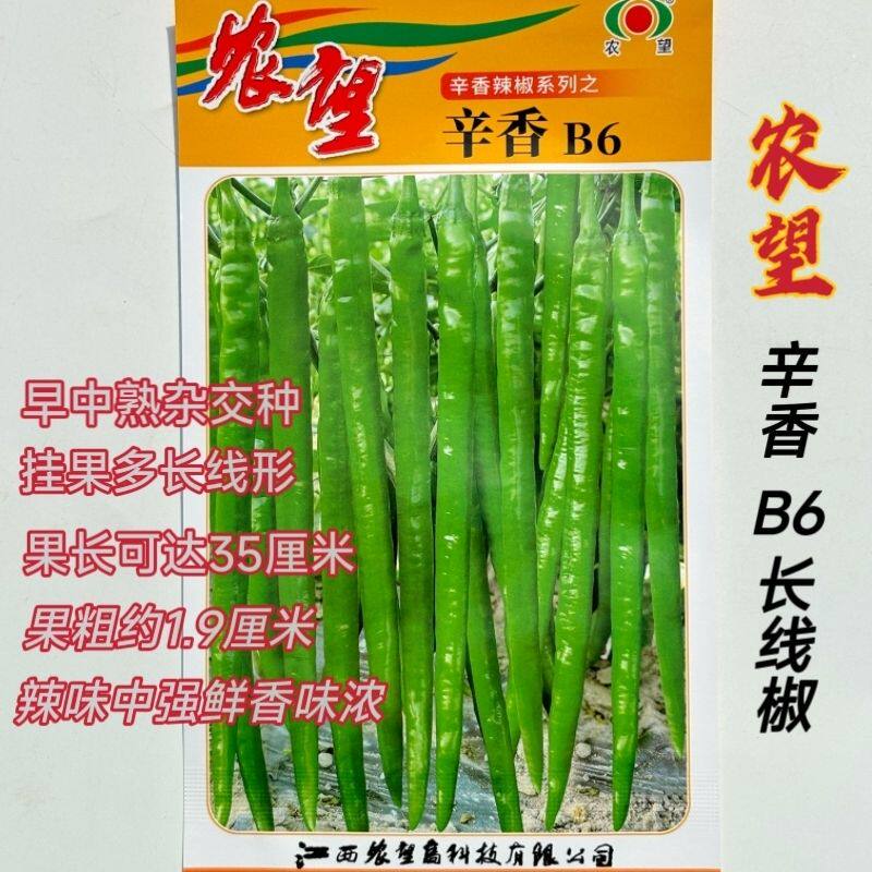 农望辛香B6长线椒种子早中熟长线椒薄皮香辣味浓嫩绿色长线椒种子