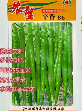 农望辛香B6长线椒种子早中熟长线椒薄皮香辣味浓嫩绿色长线椒种子