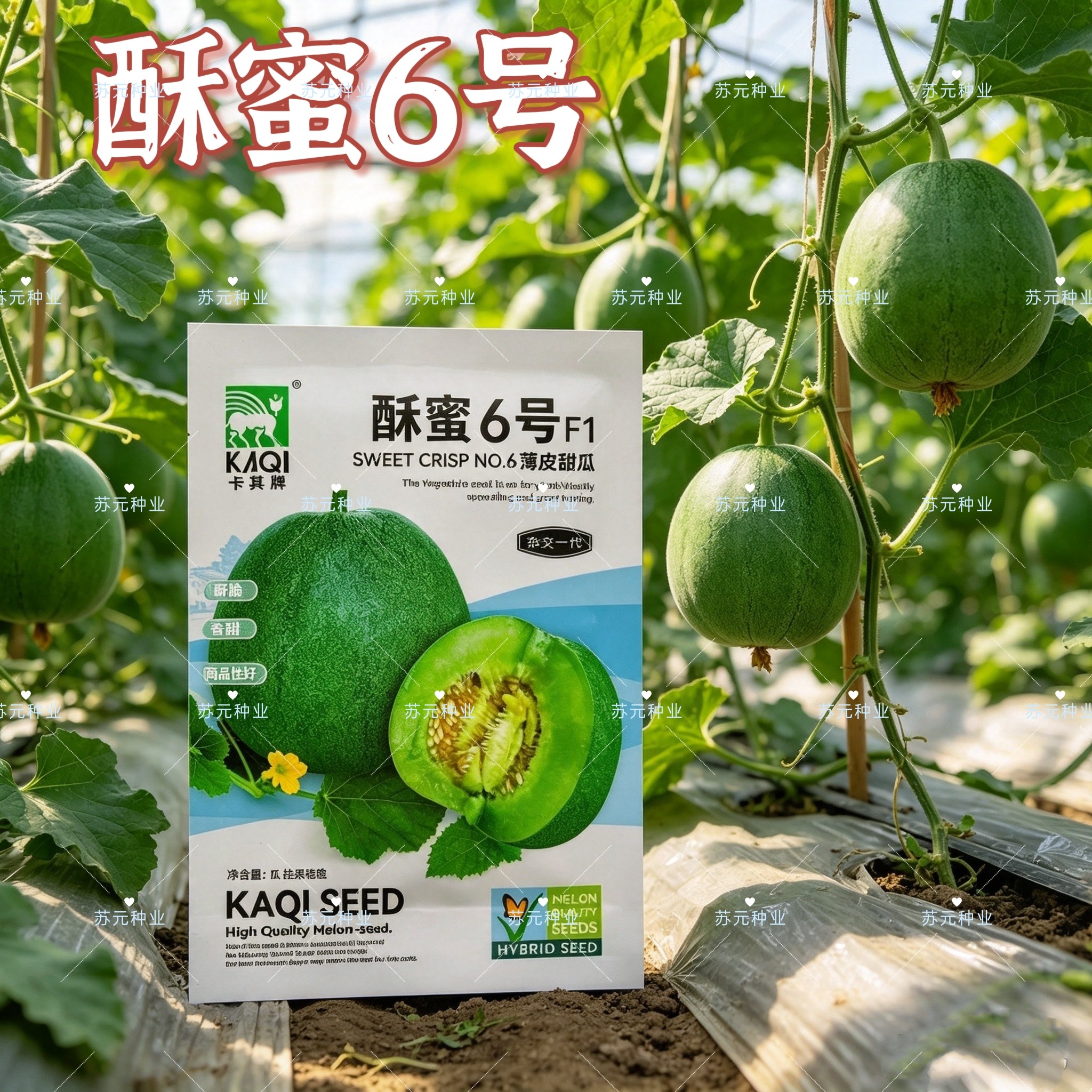 酥蜜6号薄皮甜瓜种子绿皮绿肉香味可口春秋季杂交水果香瓜种籽孑