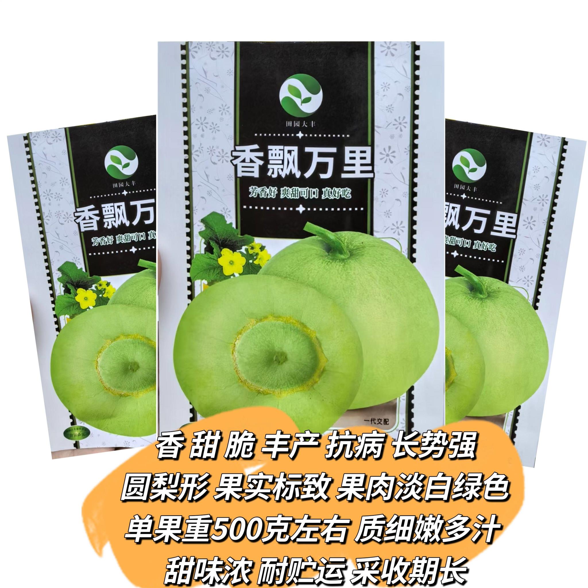 香飘万里甜瓜种子香甜脆高糖梨形香瓜种子南北方春秋季播水果种孑