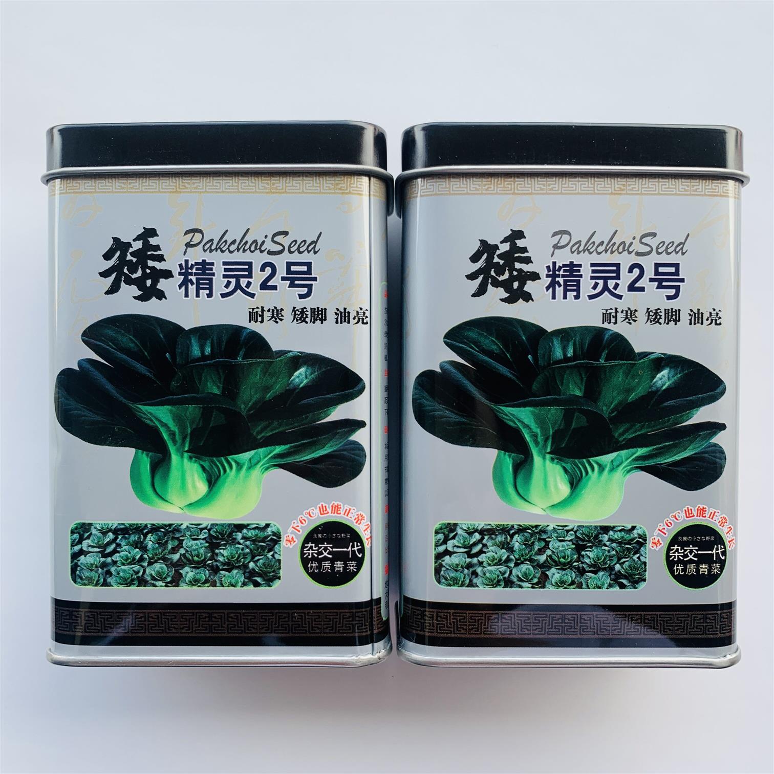 矮精灵2号青菜种子速生耐寒矮脚油亮苏州青种籽秋播高产