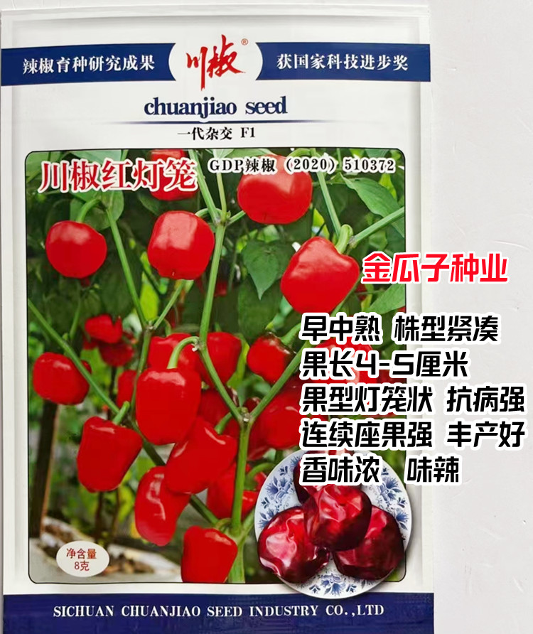 川椒红灯笼辣椒樱桃红泡椒种子