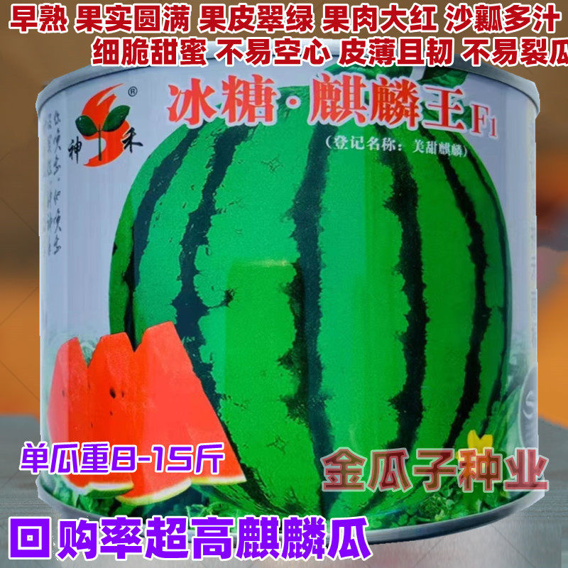 冰糖麒麟西瓜超甜皮薄韧高产红瓤