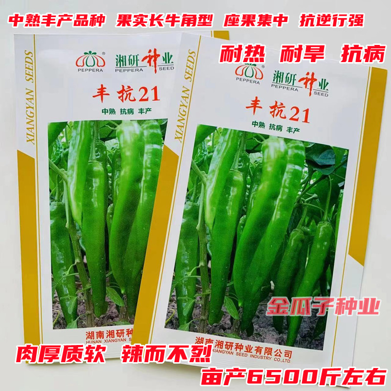 长牛角皱皮辣椒早熟高产香辣抗病