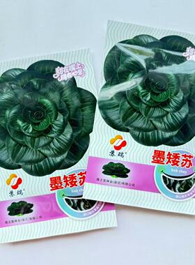 苏瑞黑矮苏趴地苏种子苏州青叶片全圆墨绿色叶面平滑耐寒口感甜糯
