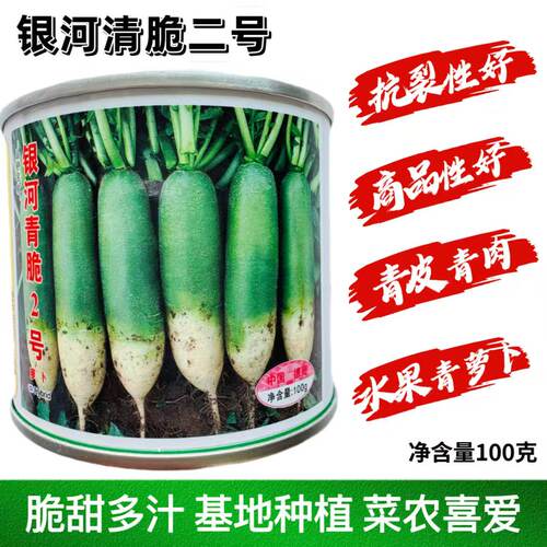 德高银河青脆2号青萝卜种子花叶耐糠心脆甜抗性好水果萝卜100克
