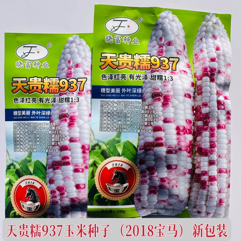 彩甜糯玉米种子鲜食大棒甜糯玉米种籽农家春秋播天贵糯宝马玉米种