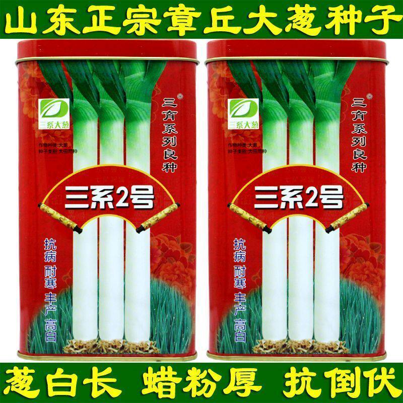 山东大葱种子章丘铁杆葱种子三系2号生长快葱白长高产量正宗长白