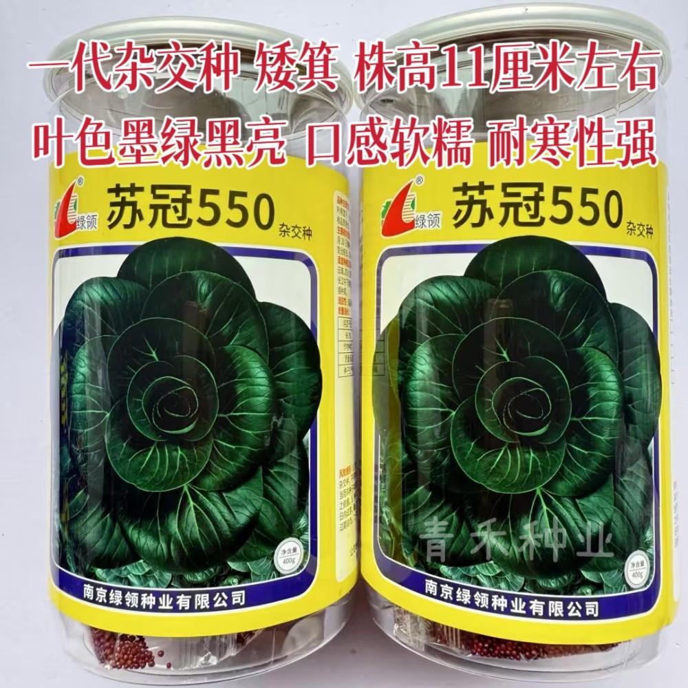 绿领苏冠550青菜种子矮箕叶色墨绿黑亮耐寒性强四季秋季青梗菜籽