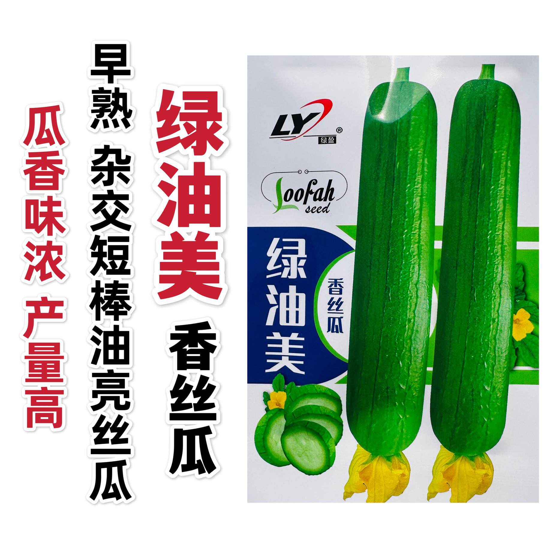 绿油美香丝瓜种子短棒油亮丝瓜种籽杂交油绿丝瓜品种瓜香味浓基地