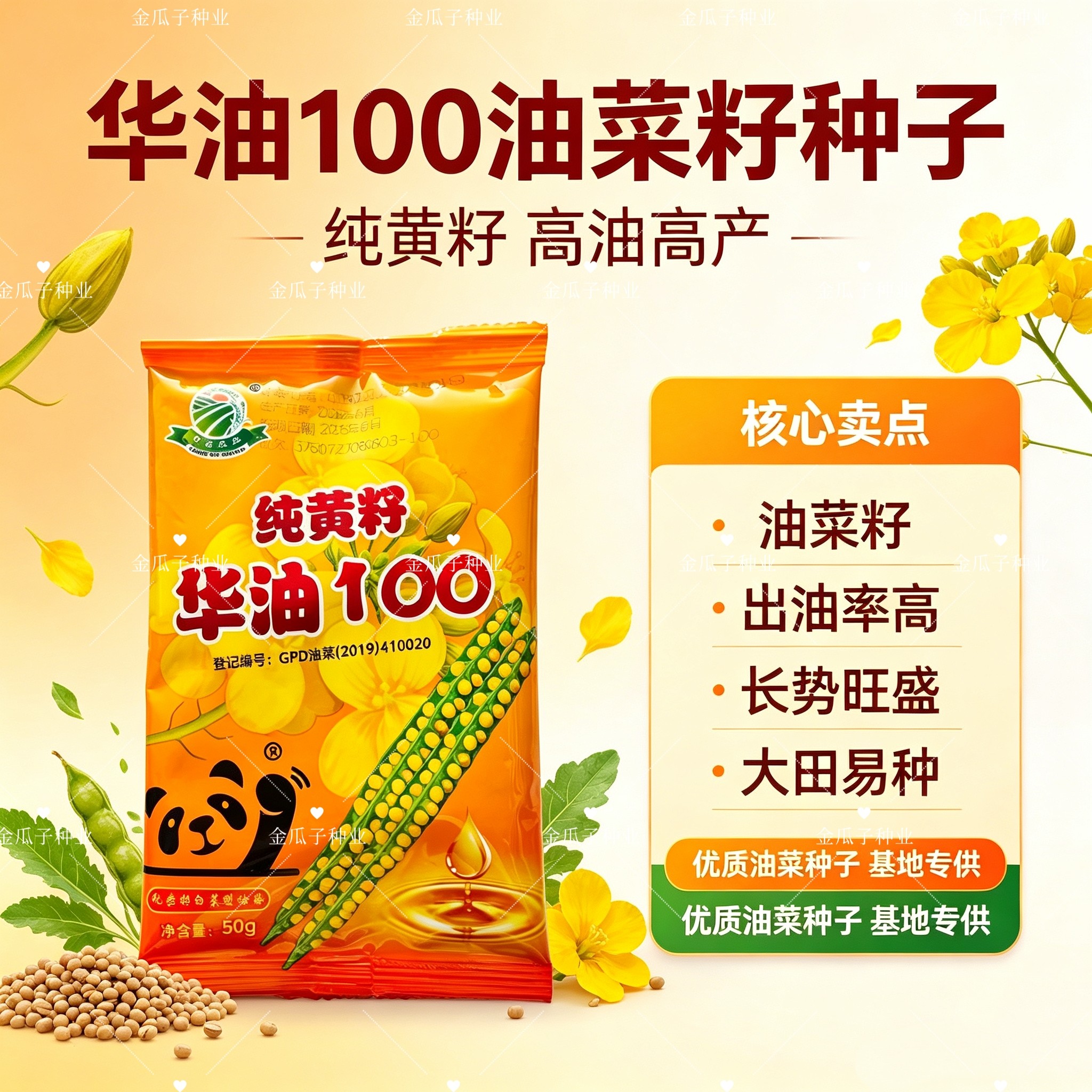 华油100油菜种子纯黄籽杂交白菜型耐菌核病耐寒出油高油菜种子籽