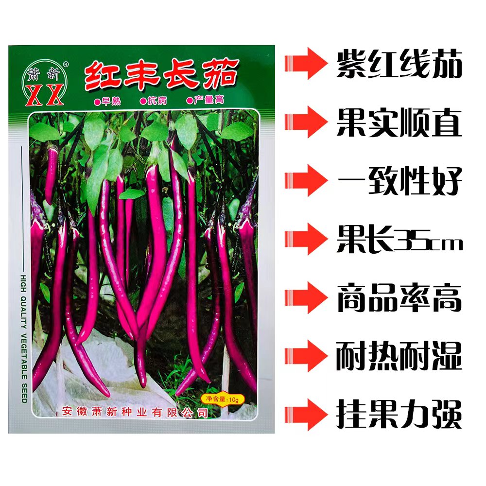 红丰长茄种子早熟高产紫红长茄子线茄种籽农家大田基地春秋季播种