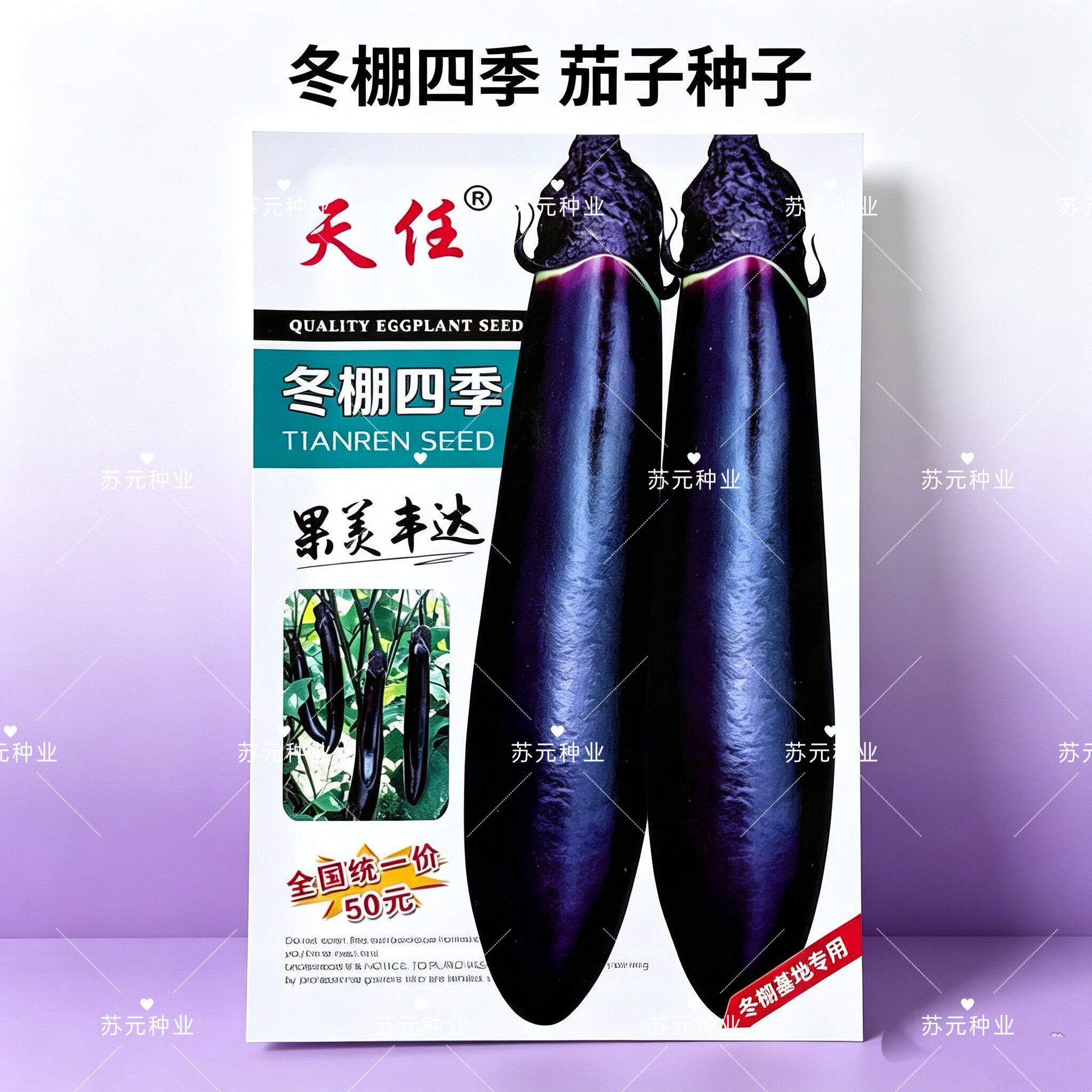 冬棚四季茄子种子黑亮长棒紫萼果肉淡绿口感好耐贮运秋延越冬种植