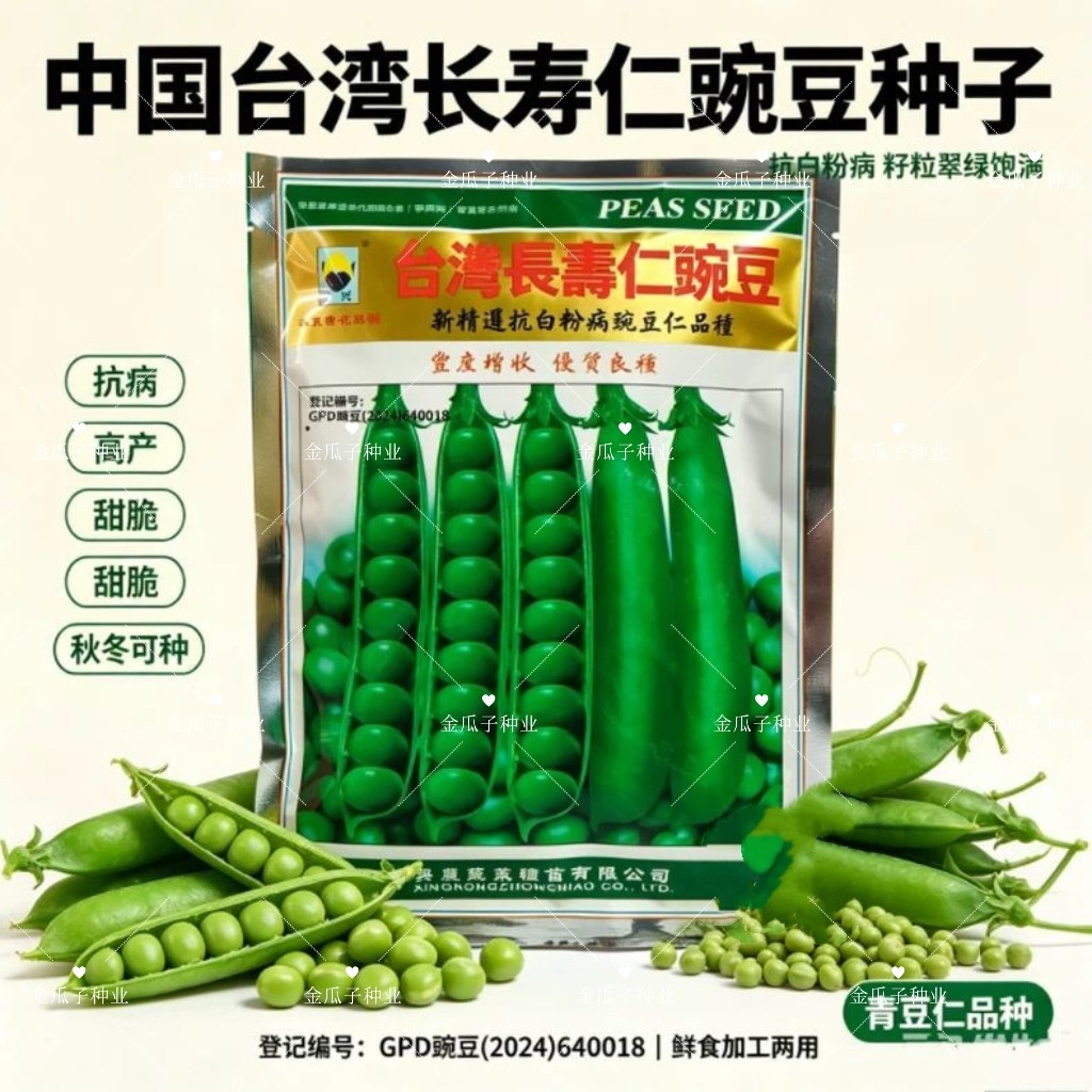 台湾长寿仁豌豆种籽高产春秋播食荚荷兰豆大荚豌豆种豌豆仁种子