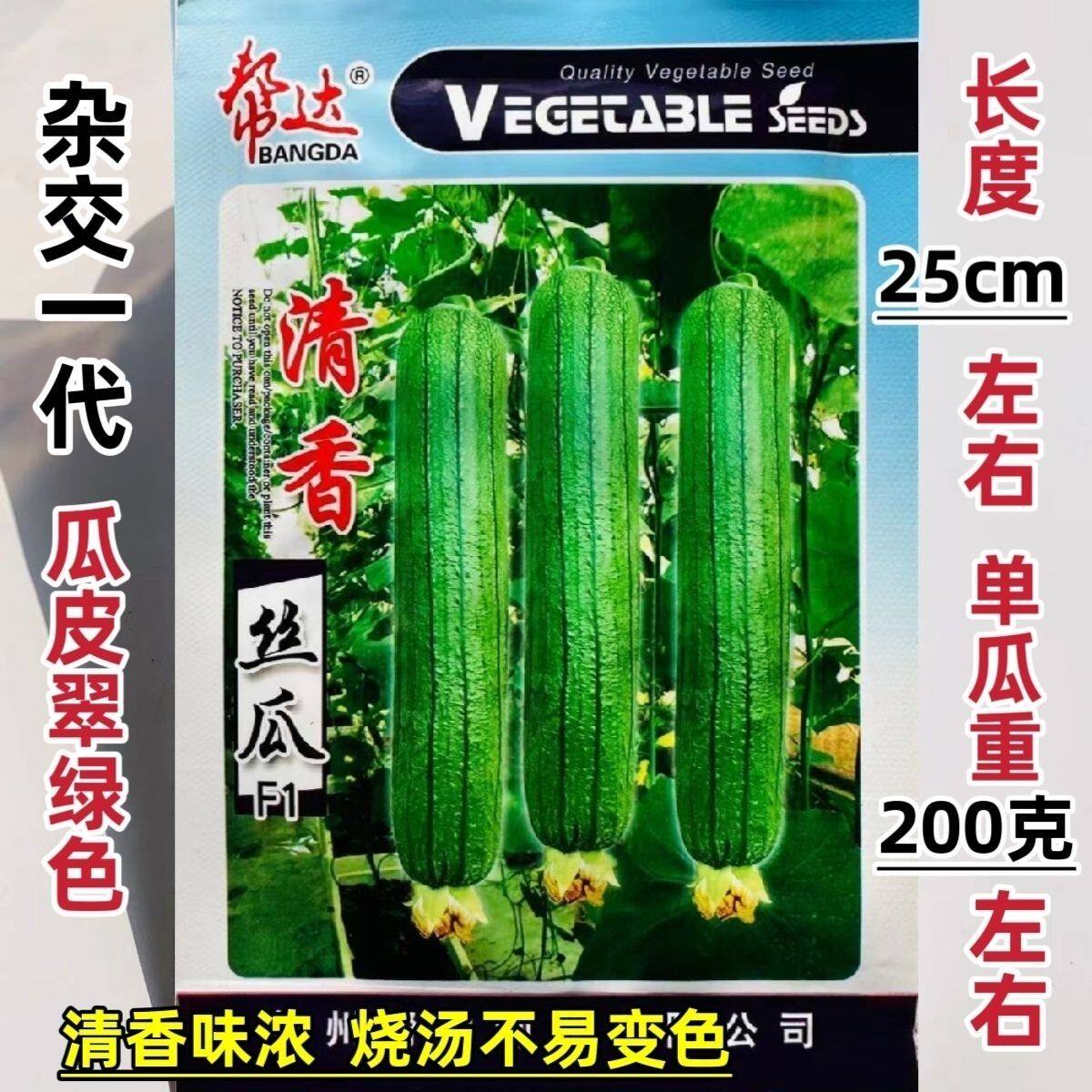 丝瓜种子杂交一代丝瓜种子清香丝瓜种子长瓜肉丝瓜种子农家春夏播
