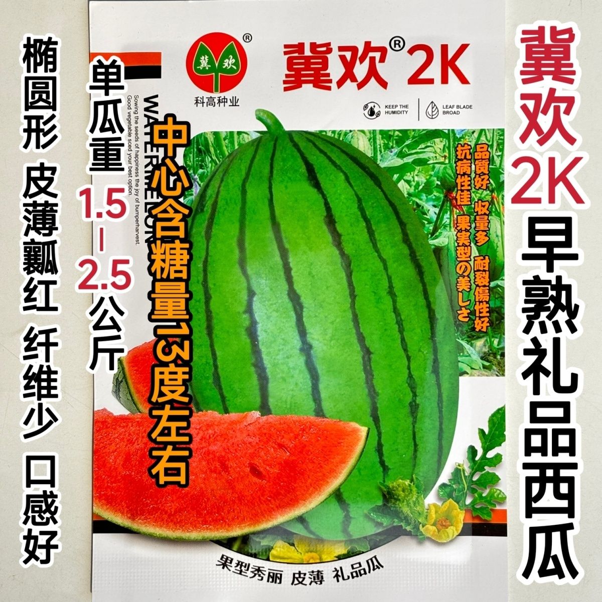 冀欢2k西瓜种子薄皮红瓤礼品小西瓜种子早熟杂交一代西瓜种籽高糖