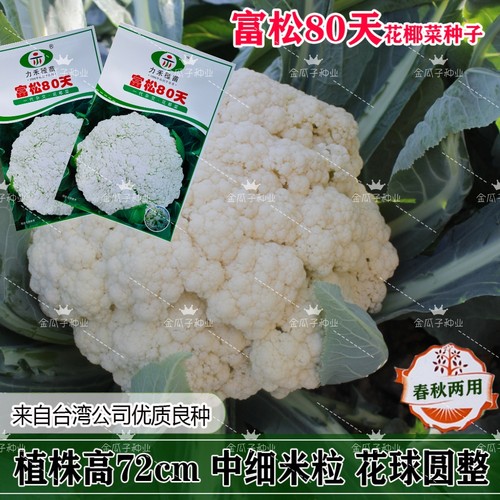 富松80天松花菜种子花球半松型花椰菜种籽春秋季播青梗花菜种子孑