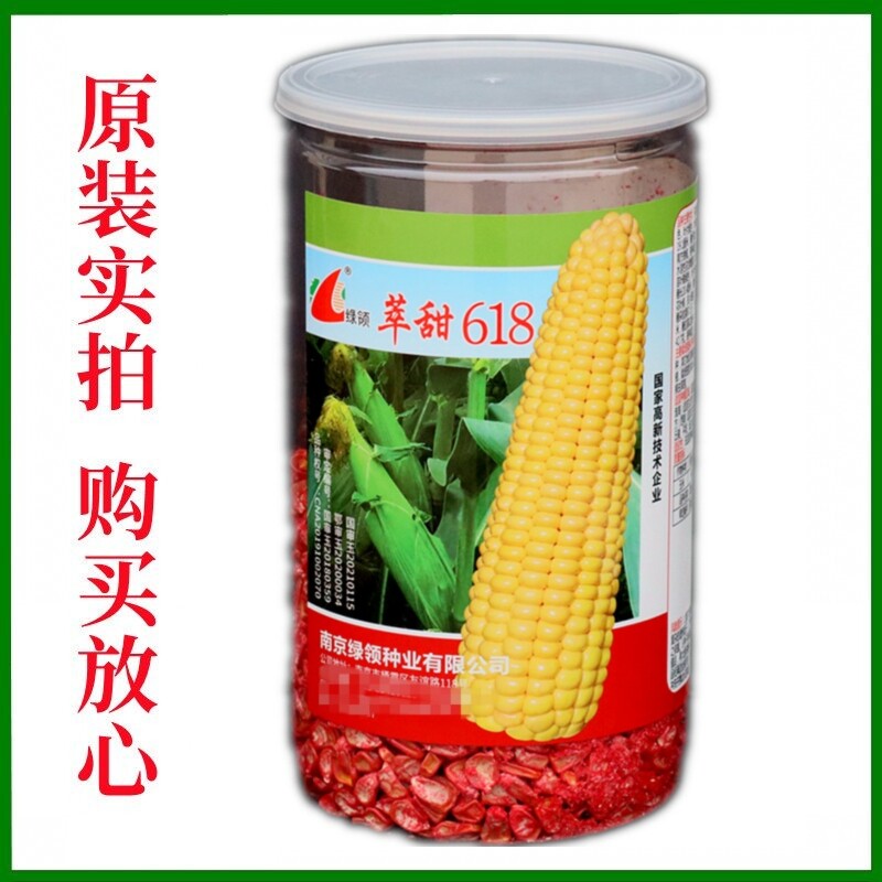 绿领萃甜618黄玉米种子鲜食甜脆大棒型水果黄粒苞谷种籽春夏450克