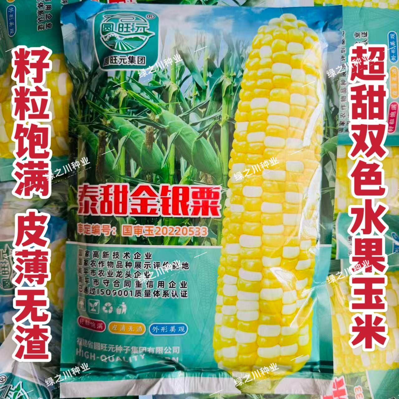 泰甜金银粟玉米种子双色甜玉米种籽高产皮薄无渣大棒超甜水果玉米