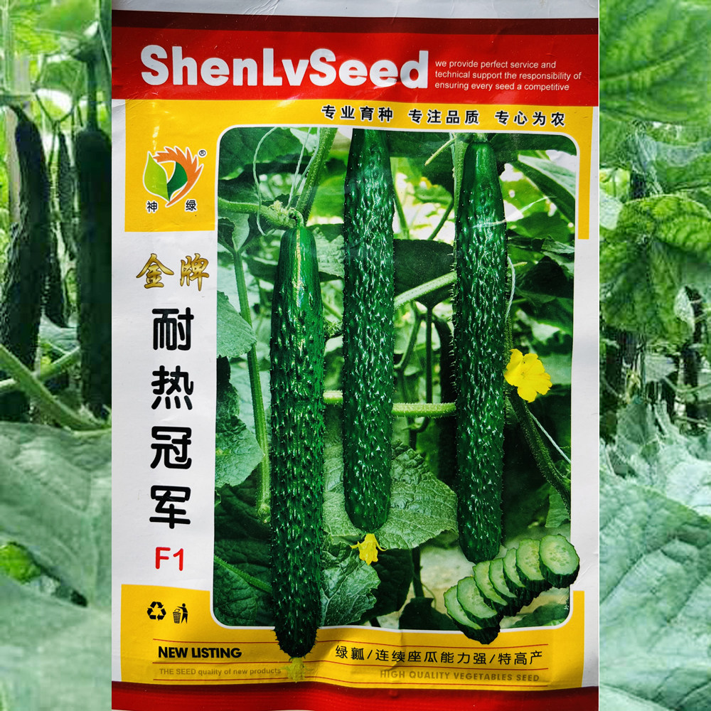 金牌耐热冠军黄瓜种子早熟杂交强雌黑油亮绿瓤丰产黄瓜种籽蔬菜种