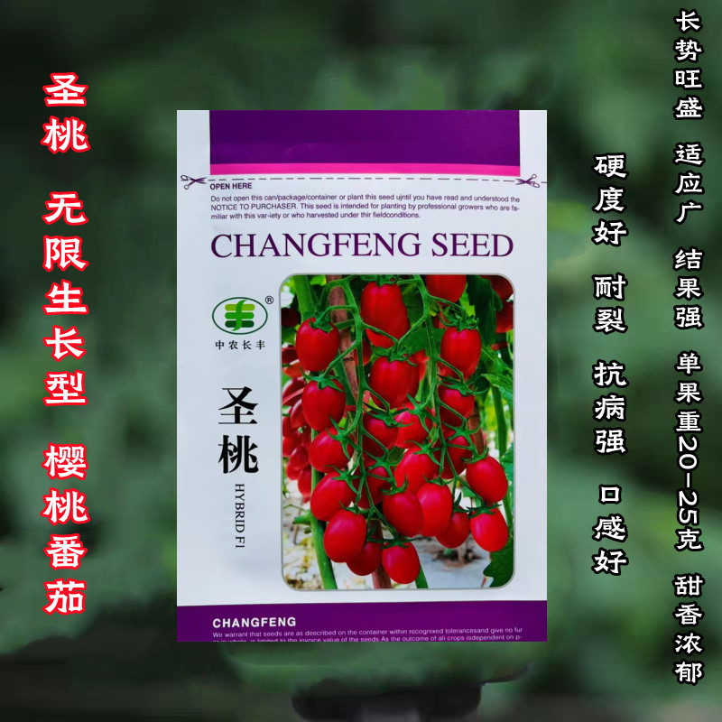 圣桃樱桃番茄种子四季小番茄种子超甜圣女果种籽抗病强无限生长型