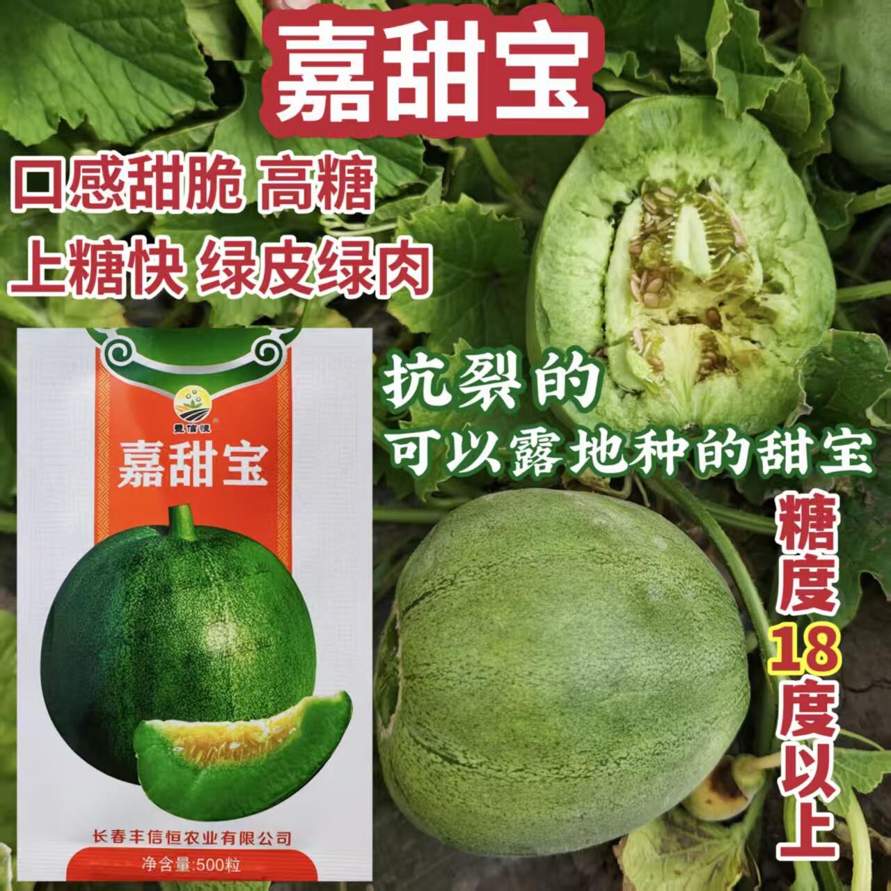 嘉甜宝甜瓜种子绿皮绿肉高糖绿宝甜瓜种子耐裂性强口感甜脆香瓜种