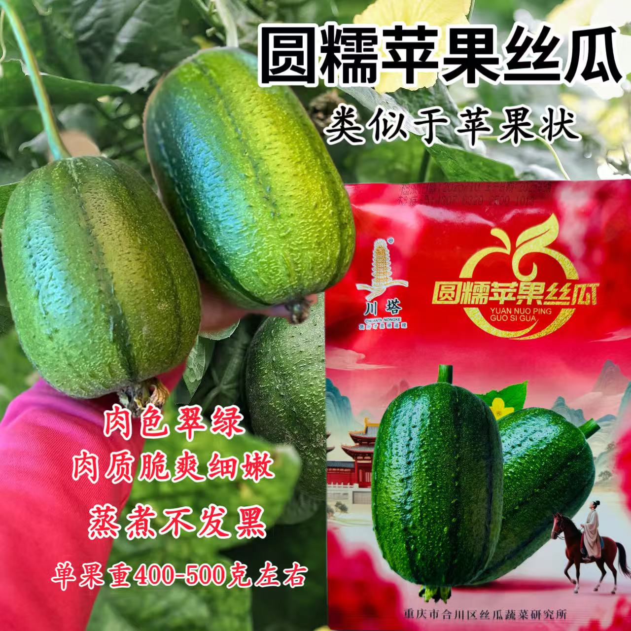 川塔圆糯苹果丝瓜种子早熟短棒型皮油绿光种籽精品高产农家菜园播