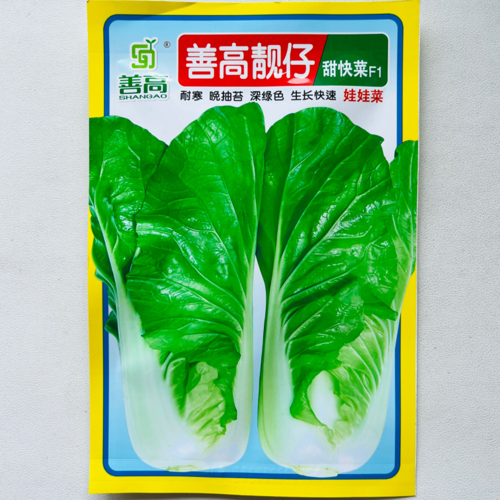 靓仔甜快菜种子早熟甜快菜种子耐寒耐抽苔深绿色生长快速快菜