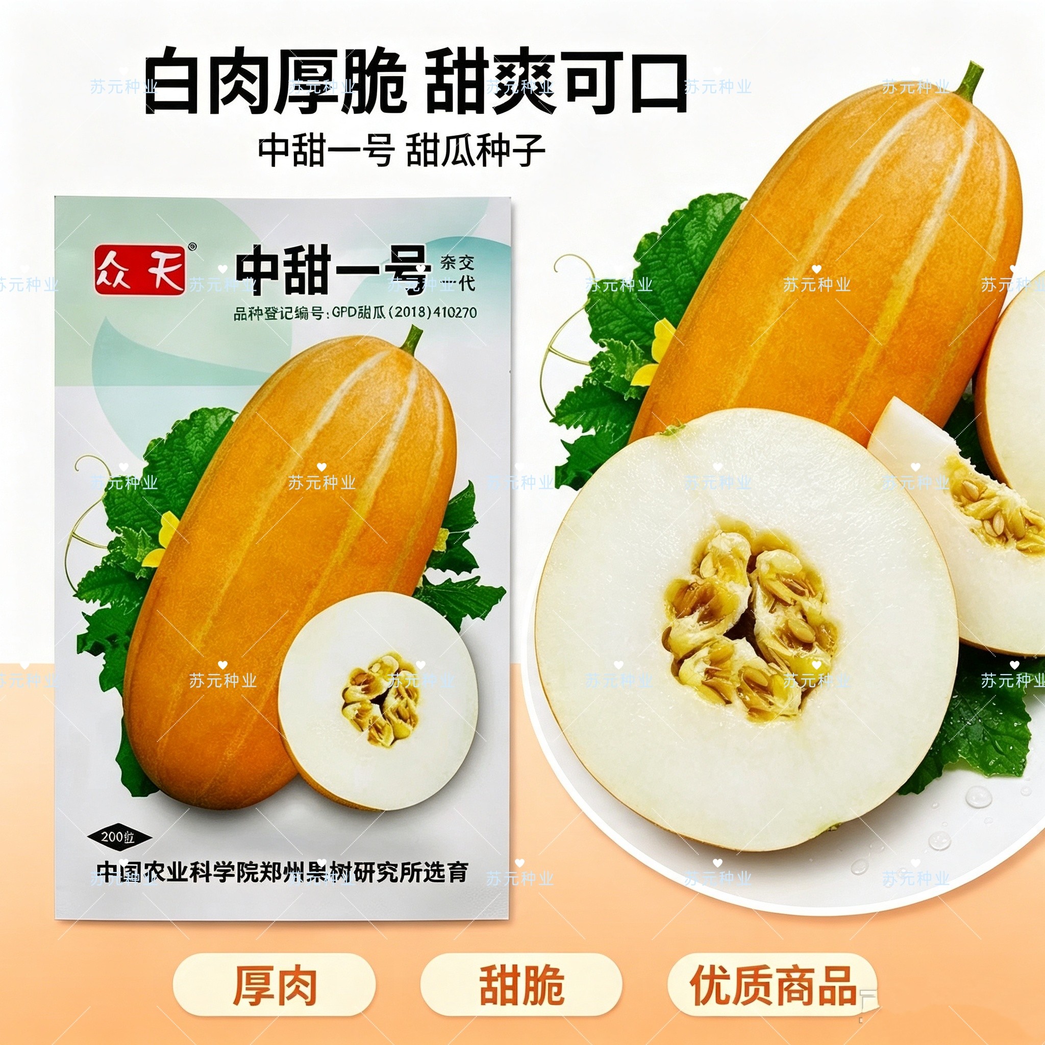 众天 中甜一号香瓜种子 甜瓜种子早熟厚皮甜瓜种籽高产耐贮运包邮