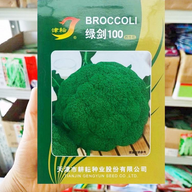 绿剑100西兰花种子中晚熟花椰菜种籽绿菜花蔬菜种子秋季花菜