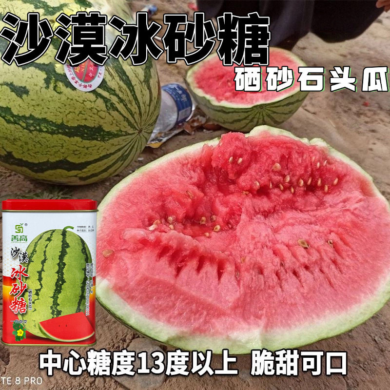 善高沙漠冰砂糖硒砂石头瓜大果西瓜种子抗性强耐旱不易空心50g罐