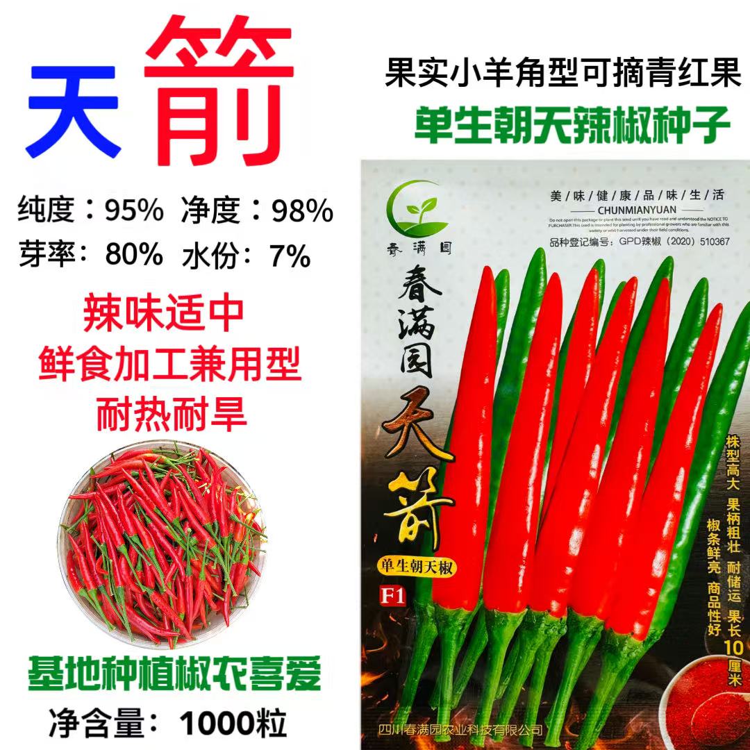 春满圆天箭单生朝天椒种子高产抗病大果耐寒耐热尖种子椒辣椒种籽