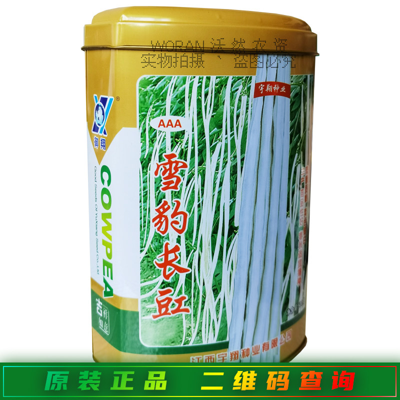 雪豹长豇豆角种子白色厚肉豇豆种籽银白豆角种孑四季长豆角