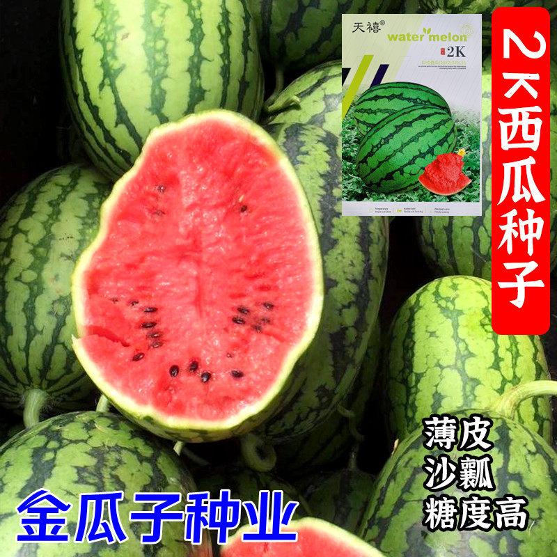 全美2k西瓜种子薄皮沙瓤椭圆形礼品小西瓜种籽吊瓜甜度高不裂瓜孑