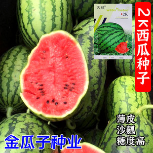 全美2k西瓜种子薄皮沙瓤椭圆形礼品小西瓜种籽吊瓜甜度高不裂瓜孑