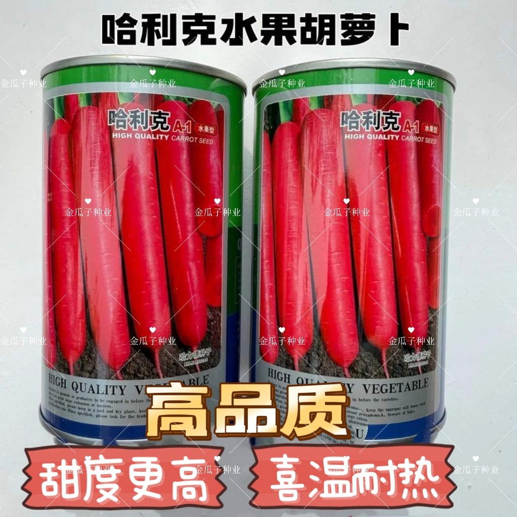 哈利克水果胡萝卜种子玫瑰红胡萝卜种籽甜脆秋播红胡萝卜种子籽孑
