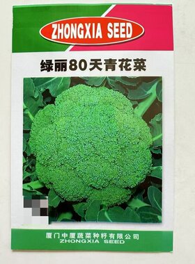 绿丽80天青花菜种子西兰花种籽西蓝花种子花椰菜绿色花菜种孑蔬菜