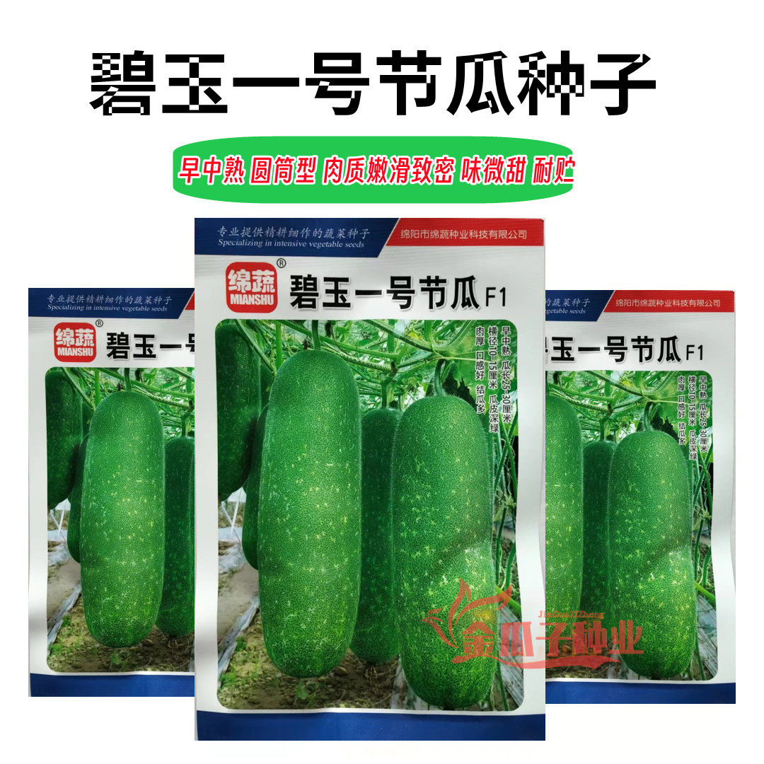 碧玉一号小节瓜种子迷你小冬瓜种籽早熟小毛瓜高产农家庭院瓜果种