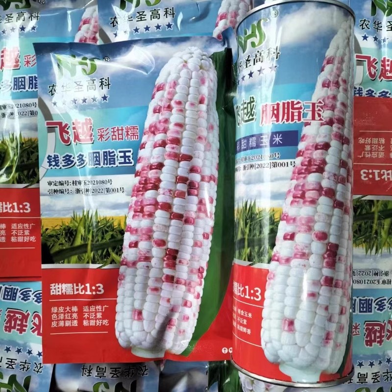 钱多多胭脂玉彩甜糯玉米种子皮薄甜糯大棒玉米农家大田春夏秋播种