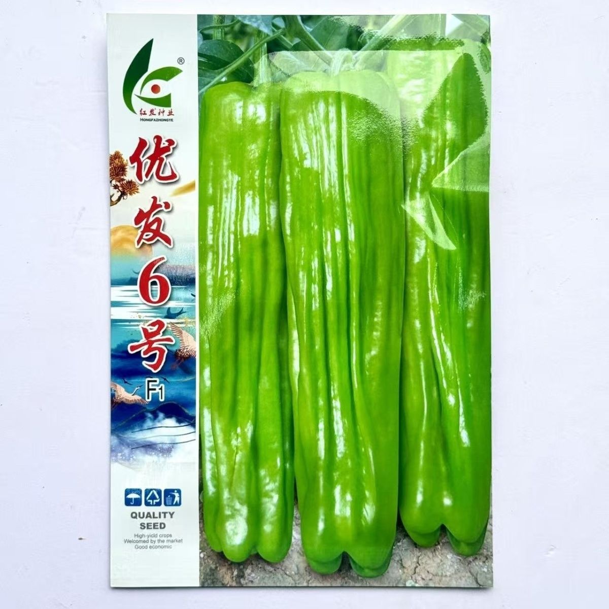 优发六号辣椒种子早熟黄绿皮大果薄皮泡椒种子竖条纹长灯笼型微辣