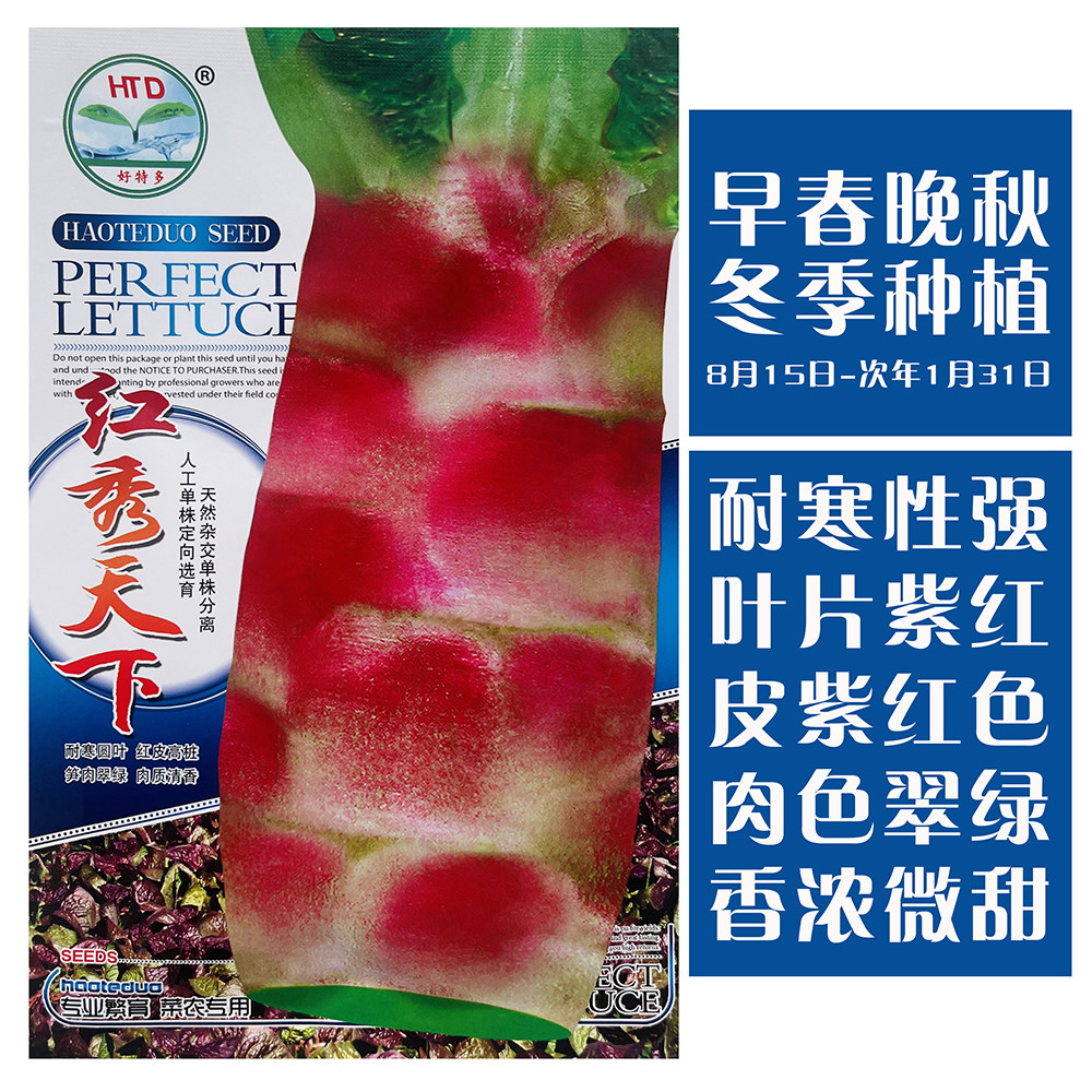 红秀天下莴笋种子耐寒莴笋种籽大圆叶红莴苣种孑香笋红皮青肉